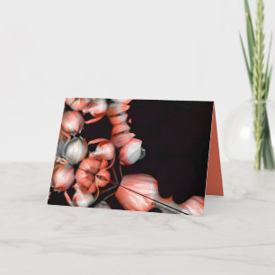 "White heart in black from sun" & Journey Card