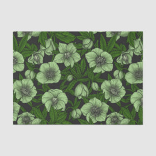 White Hellebores with leaves Tissue Paper