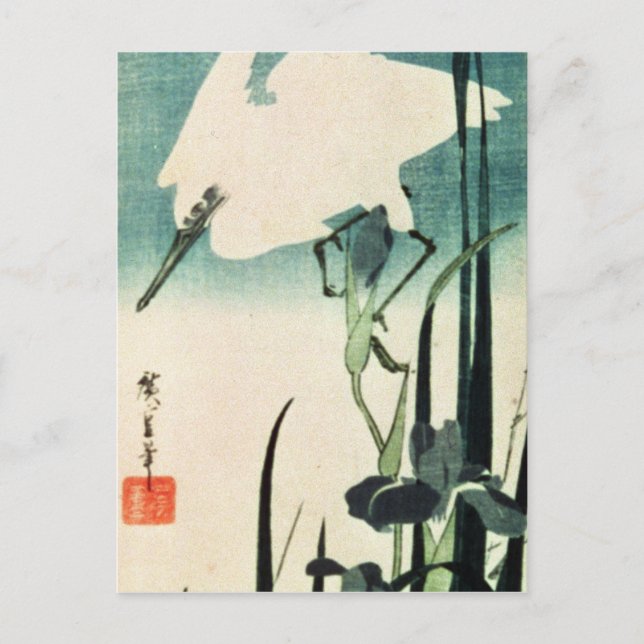 White Heron and Iris Postcard (Front)