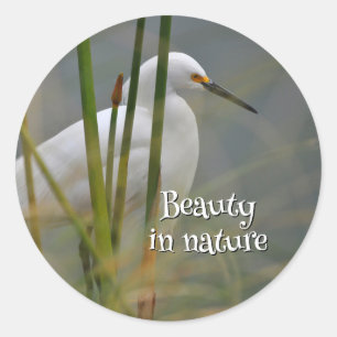 White heron classic round sticker
