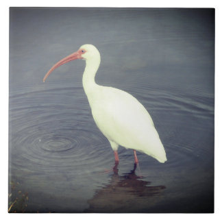 White Heron Fishing In Pond Tile