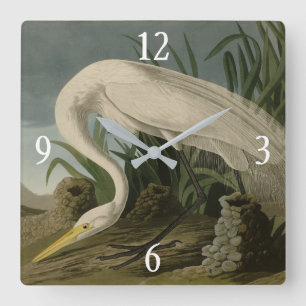 White Heron, Great Egret, Audubon Birds of America Square Wall Clock