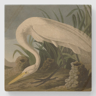 White Heron, Great Egret, Audubon Birds of America Stone Coaster
