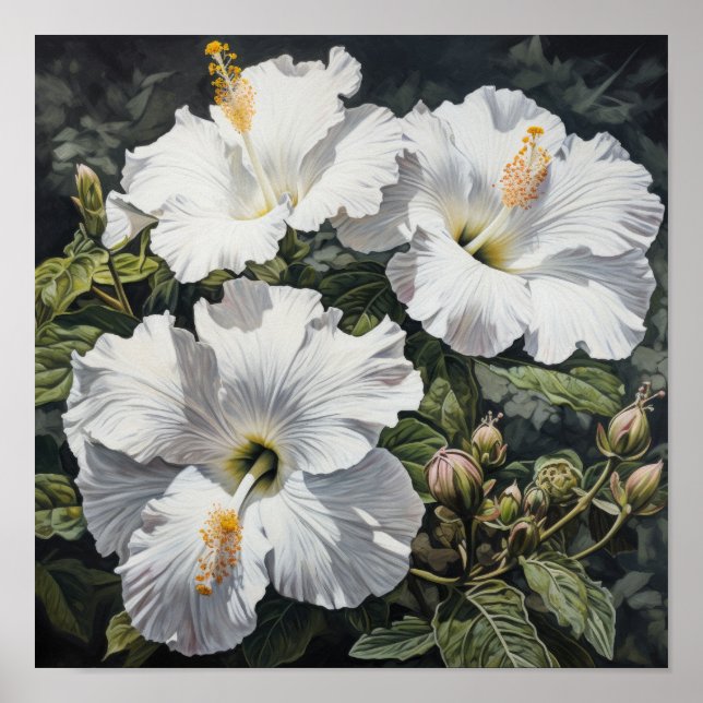 White Hibiscus Flower Art Print Poster (Front)