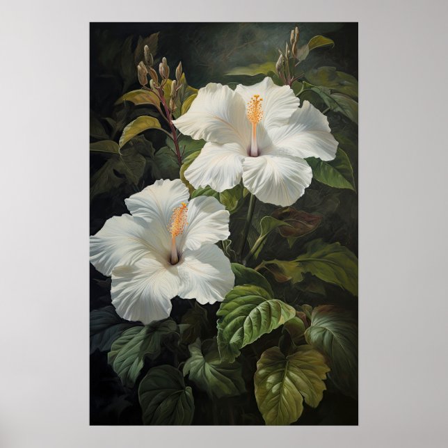 White Hibiscus Flower Art Print Poster (Front)