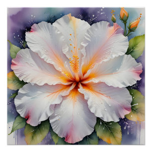 white hibiscus flower poster
