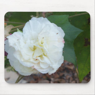 white hibiscus mutabilis flower mouse pad