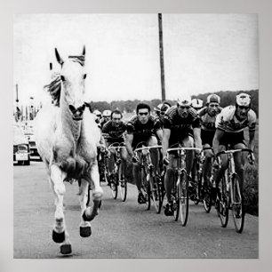 White Horse 1975 Tour De France Colour Redux Poster