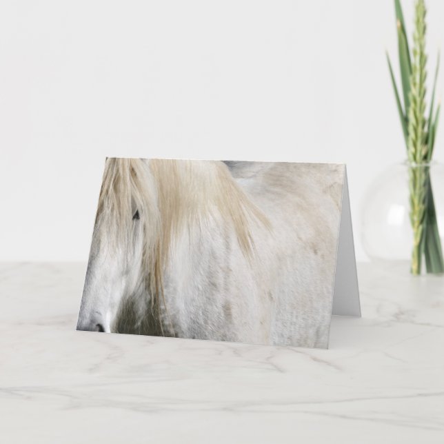 White horse birthday card (Front)