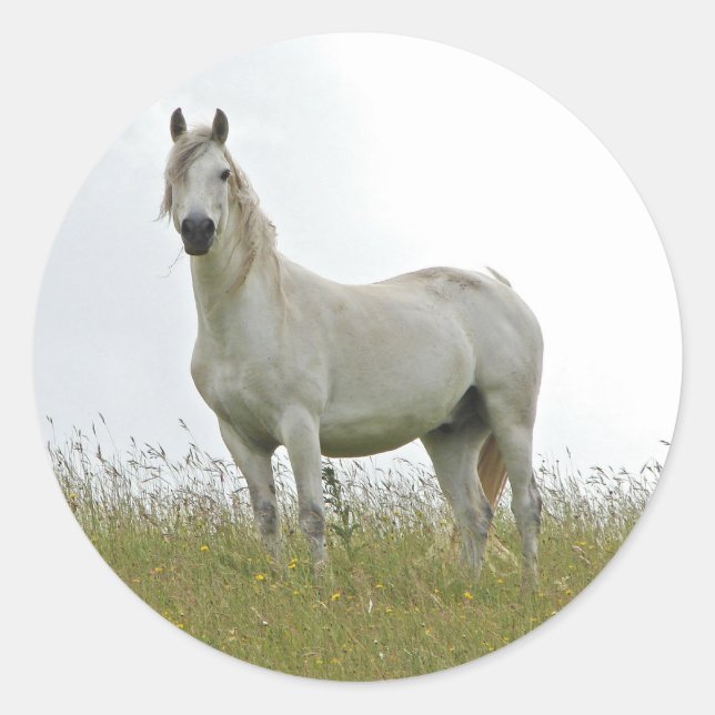 White Horse Classic Round Sticker (Front)