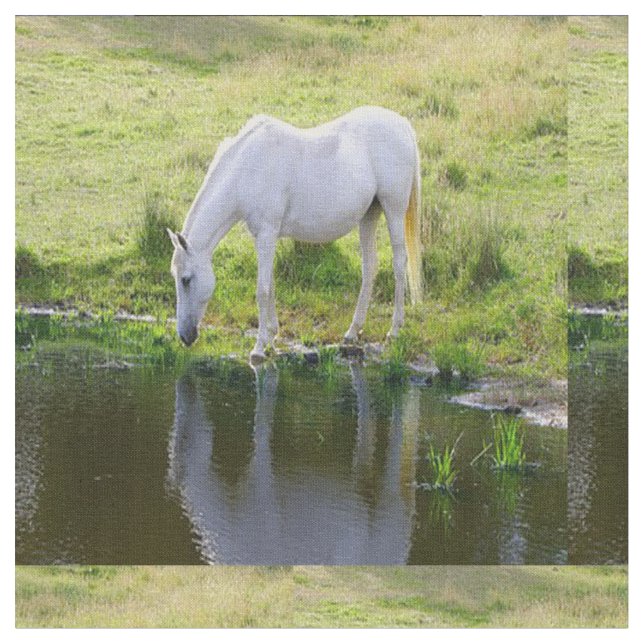White Horse Drinking Water Fabric (Close Up)