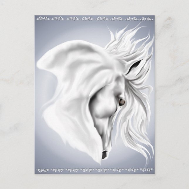 White Horse Head Post Card (Front)