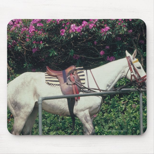 White Horse in a Garden Mouse Pad (Front)
