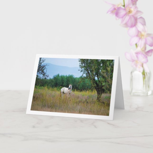 White Horse in Field Card (Orchid)