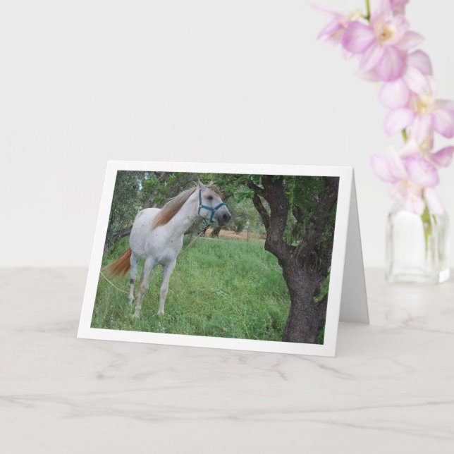White Horse in Grass Field Card (Orchid)