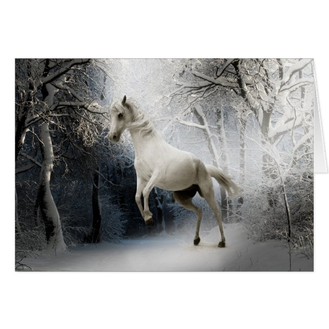 White Horse in Snow (Front Horizontal)