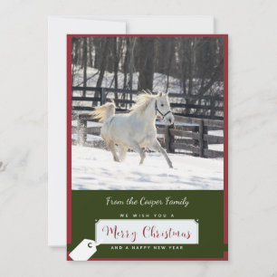 White Horse in Snow Christmas Card