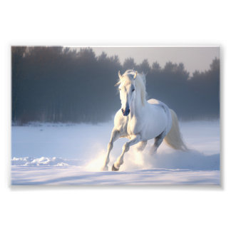 White Horse in Snow, Horses, Winter Photo Print