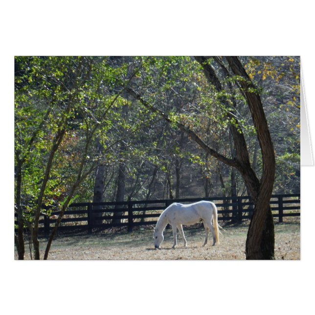 White Horse in trees (Front Horizontal)