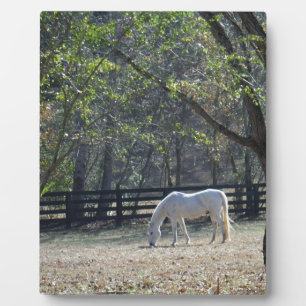 White Horse in trees Plaque