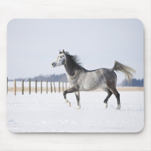 white horse in winter mouse pad (Front)
