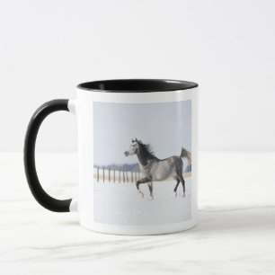 white horse in winter mug