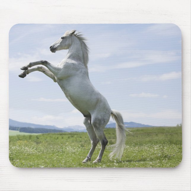 white horse jumping on meadow mouse pad (Front)