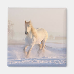 White Horse Lover Western Equestrian Farm Pony Magnet