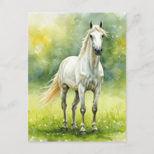 White Horse Meadow Elegant Watercolor Postcard
