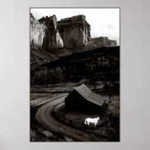 White Horse Monochrome in Canyonlands Poster