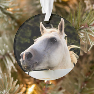 White Horse Photo Ornament