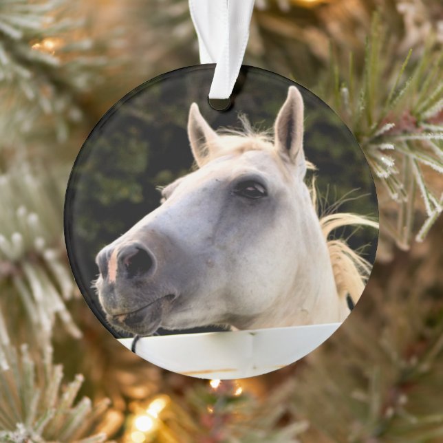 White Horse Photo Ornament (Tree)