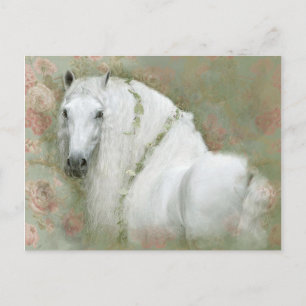 White Horse - Postcard