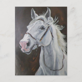 White Horse Postcard