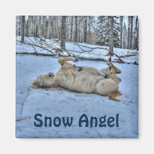 White Horse Rolling in Winter Snow Magnet (Front)