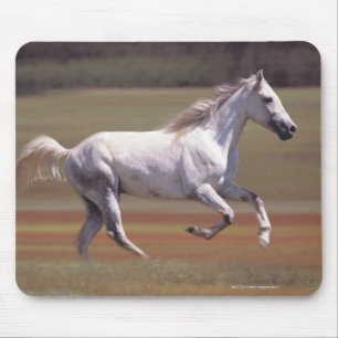White horse running in field mouse pad