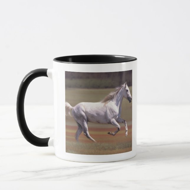 White horse running in field mug (Left)