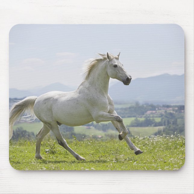 white horse running on meadow mouse pad (Front)