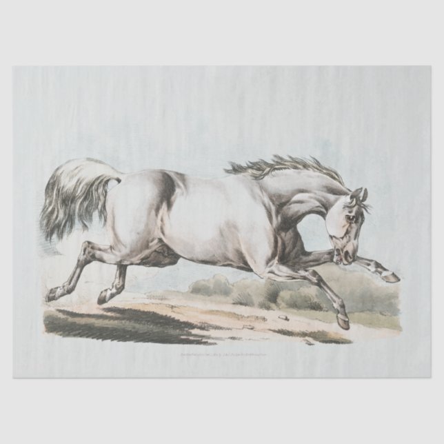 White Horse Running Tissue Paper (Front)