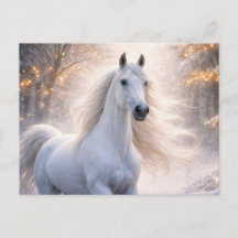White Horse Snow Christmas Seasons Greetings