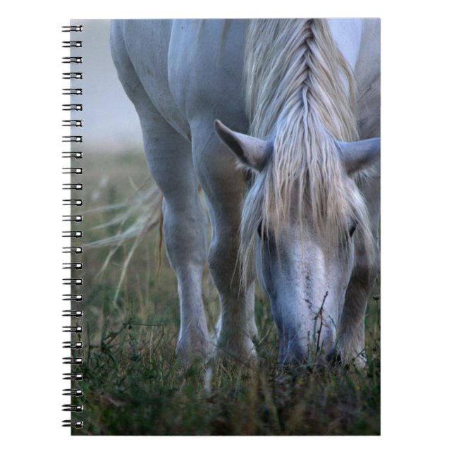 White Horse Spiral Notebook (Front)