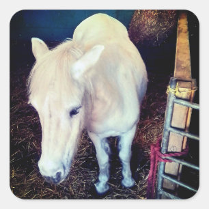 White horse square sticker
