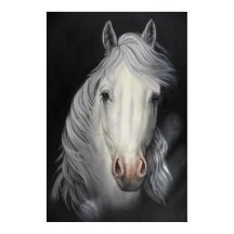 white horse stallion painting poster