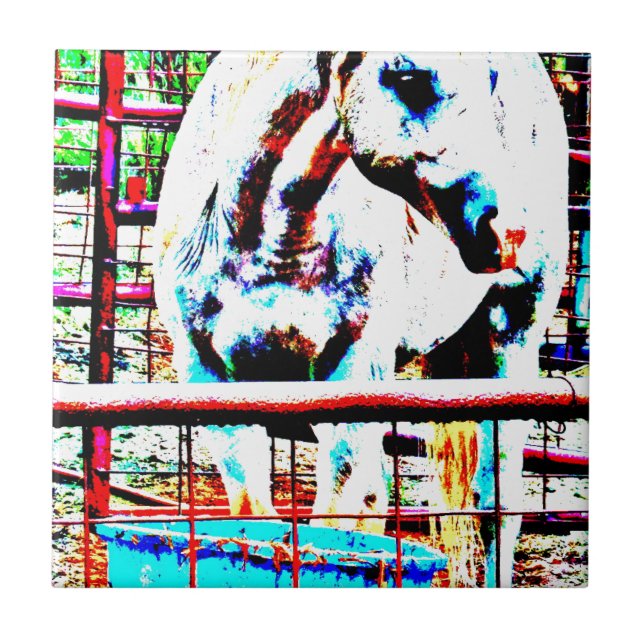 White Horse Tile (Front)