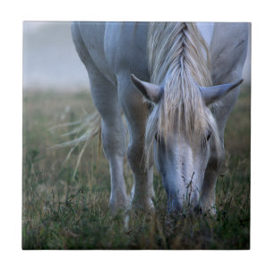 White Horse Tile