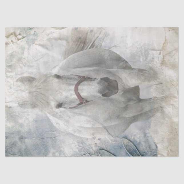 White Horse Tissue Paper (Front)