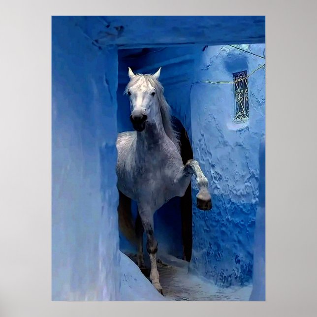 White Horse Travel Poster (Front)