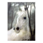 White Horse with Name