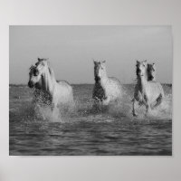 White horses, ocean,  black and white photography