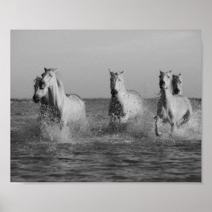 White horses, ocean, black and white photography poster